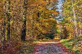 Autumn Backroad_23259